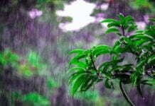 भारत की ऋतुएं : Seasons of India in hindi