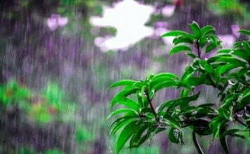 भारत की ऋतुएं : Seasons of India in hindi