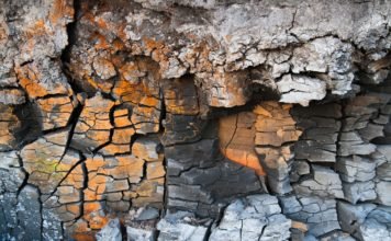 अंतर्जात और बहिर्जात शक्तियां : Endogenic and Exogenic forces