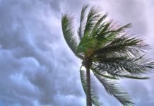 शीतोष्ण कटिबंधीय चक्रवात : Temperate Cyclones