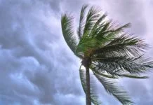 शीतोष्ण कटिबंधीय चक्रवात : Temperate Cyclones