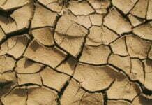 भारत में मिट्टी के प्रकार : Types of soil in india