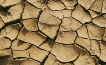 भारत में मिट्टी के प्रकार : Types of soil in india भारत में मिट्टी के प्रकार : Types of soil in india